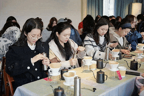 湖边与大草坪