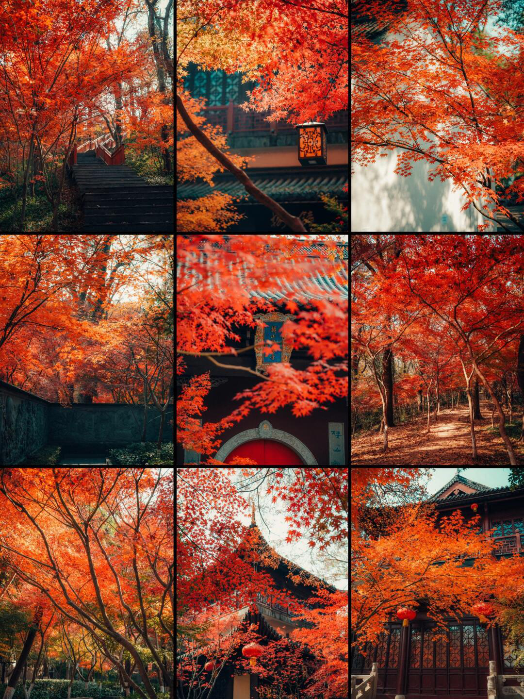南京栖霞山赏枫团建一日方案 古寺+定向+烧烤 秋天去最有味道