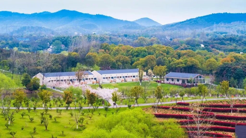 江宁龙山赏心谷团建场地介绍：近千亩山谷度假式拓展基地怎么选？