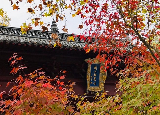 南京周边秋季团建去哪？5个目的地，赏枫、品蟹、露营、泡汤