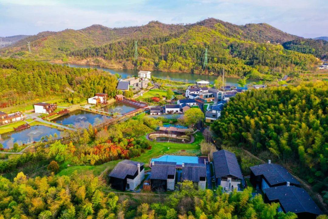 黄龙岘茶村航拍