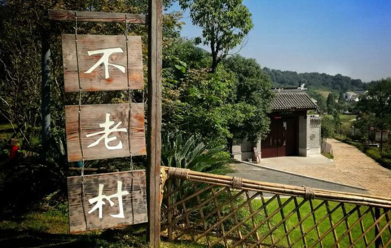 不老村村口的不老村木牌与石板小路